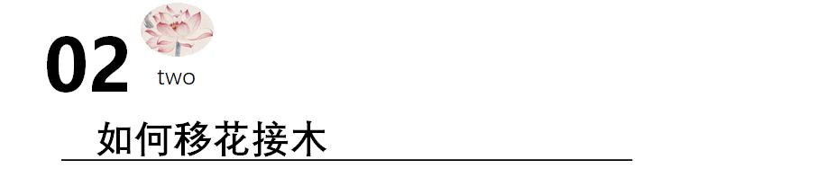 治疗网瘾办法多，最行之有效的是“移花接木”