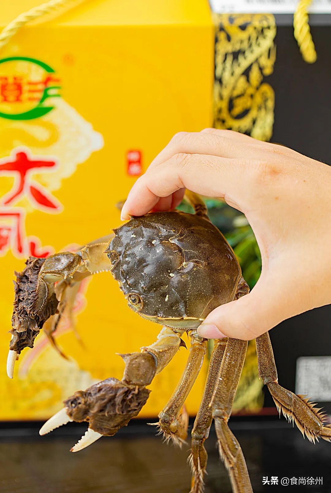 吃阳澄湖大闸蟹地方,吃阳澄湖大闸蟹的最佳地方在哪