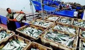 东方夏威夷国际旅游度假区,养马岛后海东方夏威夷