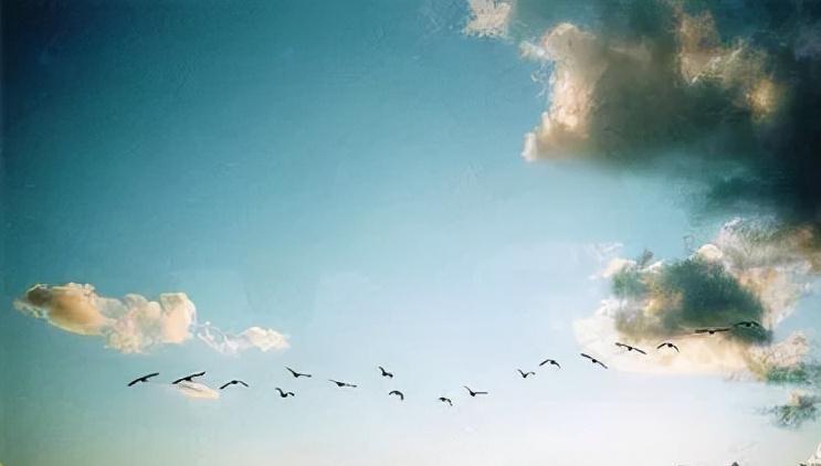 想以身相许的故事,救命之恩以身相许的故事