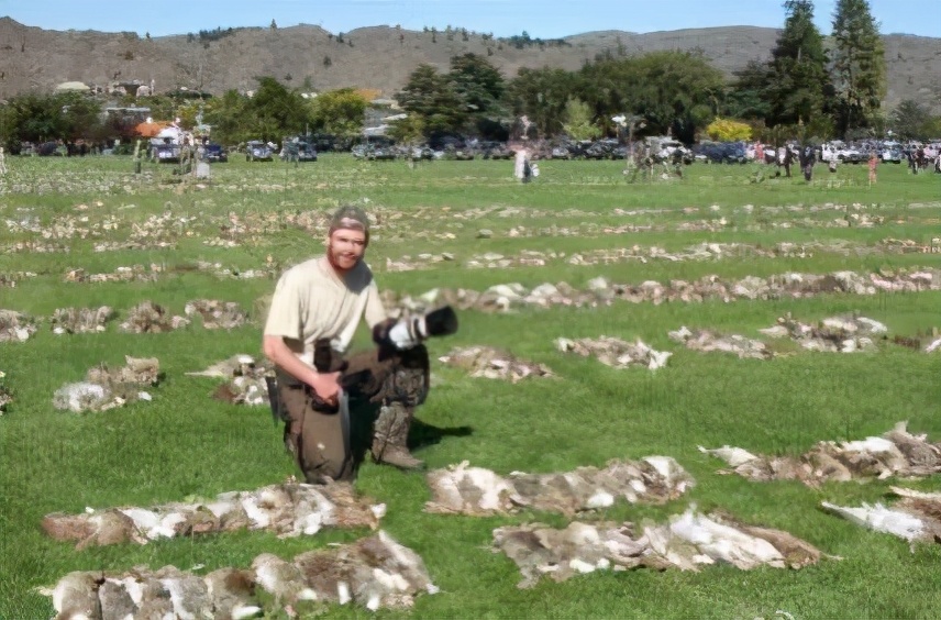 兔子曾经入侵了哪些国家,兔子三十多年没打仗还有实力吗