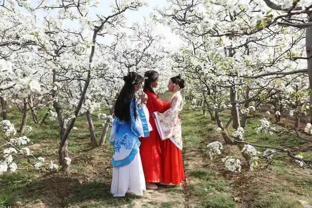 西安阎良区旅游全攻略,阎良航空城旅游线路攻略最新版