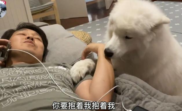 有一只太粘人的狗是什么体验？铲屎官哭诉：像是强塞了一个女朋友