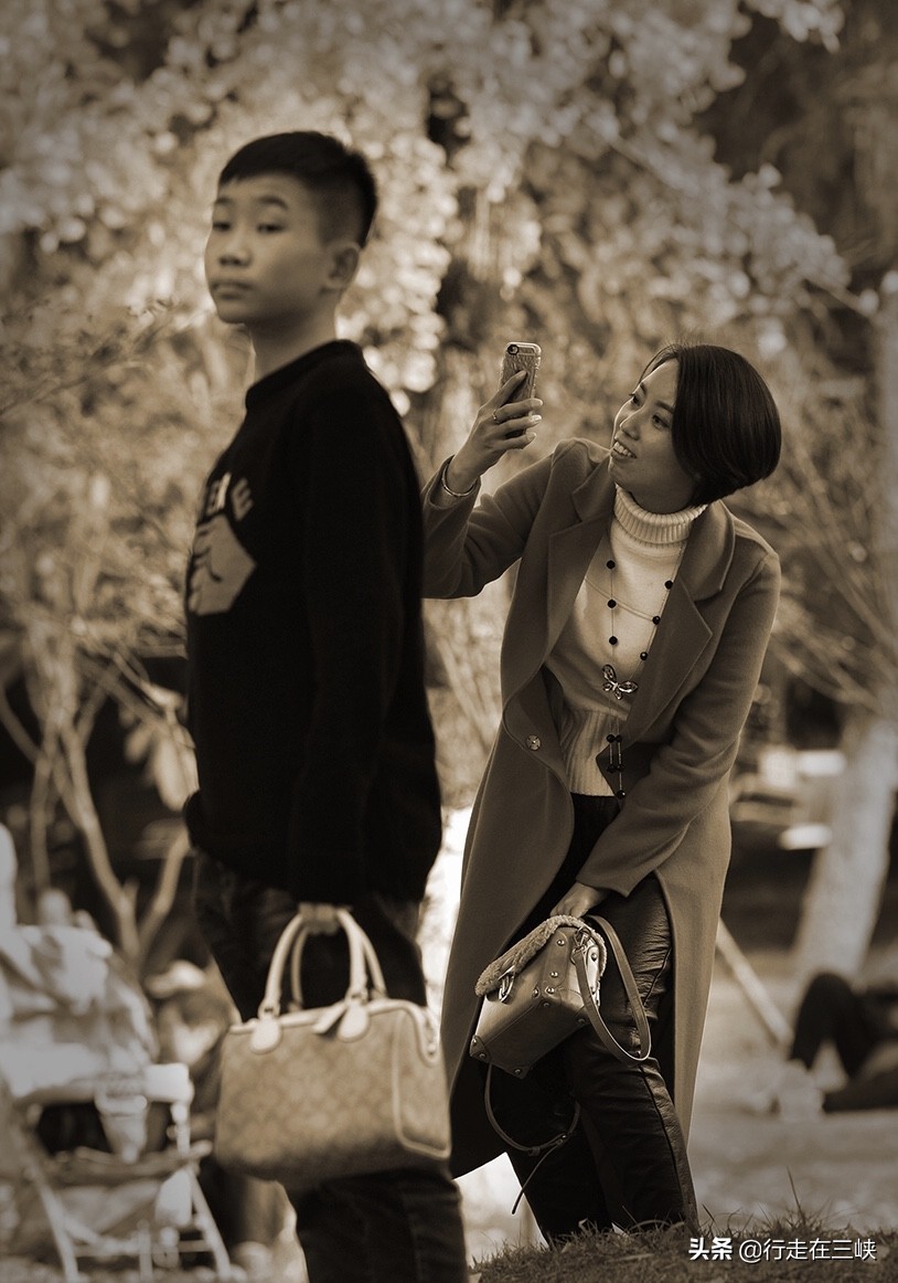 纯色摄影,纯色摄影店