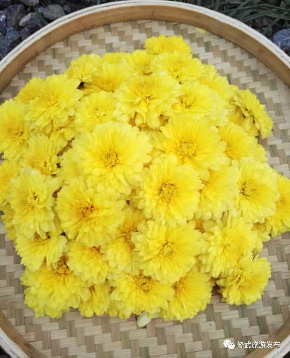 修武，向全世界发出邀请！这个古老的小城，原来可以这么美（惊艳版）