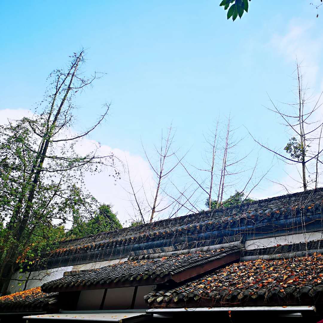 狼牙土豆超简单,狼牙土豆麻辣鲜香