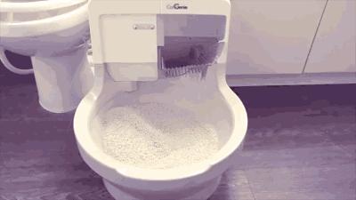 李佳琦叫卖都不管用！双十一猫咪用品这些坑得避