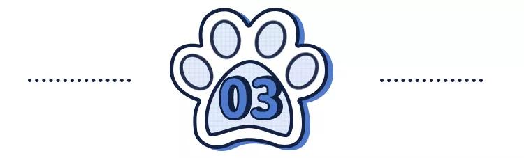 因为爸爸反对家里养狗,奶奶死活不让养狗怎么办