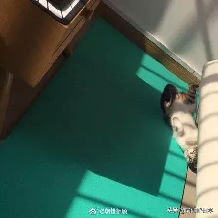 每个家里都有瑜伽垫,每个家庭都有个瑜伽垫