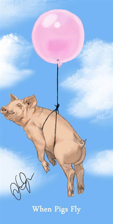 Look,Ijustsawapigflyby!猪能上天？你疯了还是我疯了