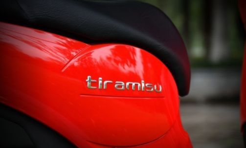 金城圣甲虫出口,金城圣甲虫200座高