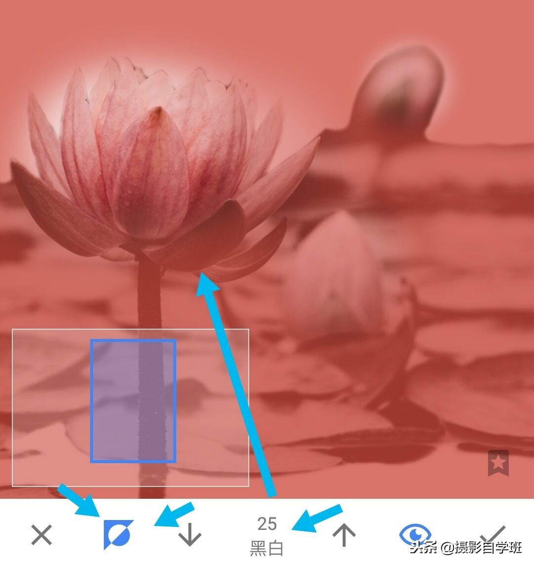 国画摄影照片,摄影怎么把图片弄成水墨画
