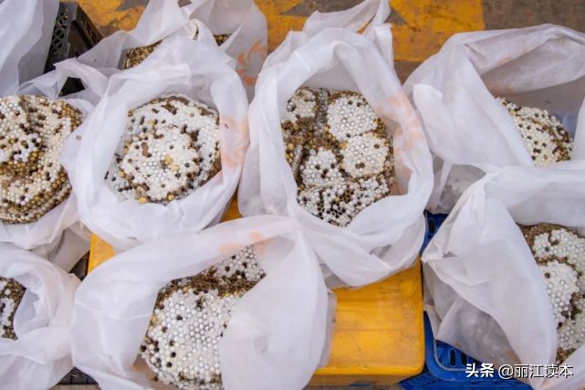 瓜瓜豆豆的视频,瓜瓜豆豆视频