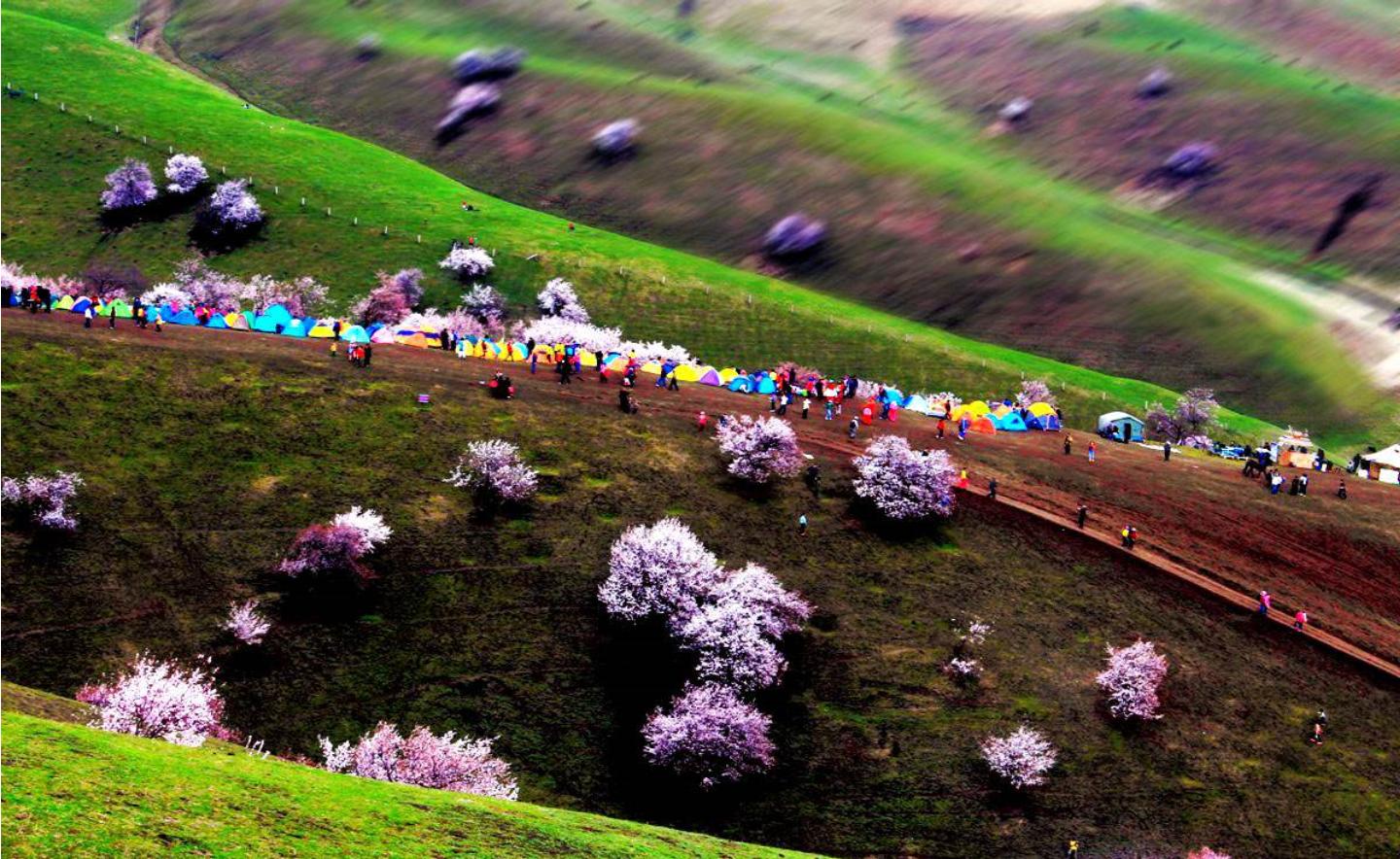 新疆伊犁人间仙境,新疆真正的人间仙境视频