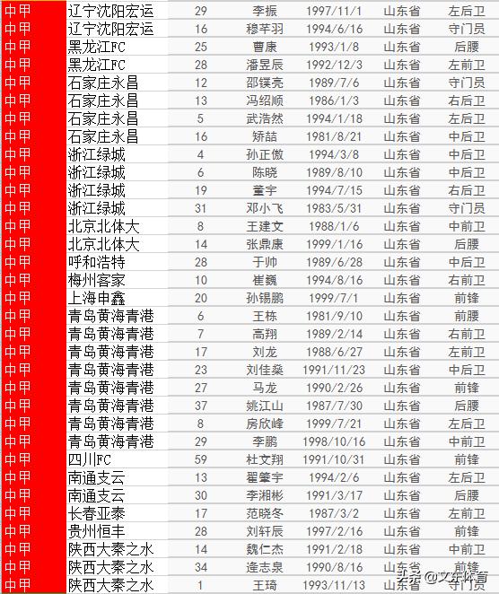 2020中国足球队员40强名单,山东中国足球队球员名单