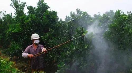 敌敌畏能抢救过来吗,敌敌畏救活后注意事项