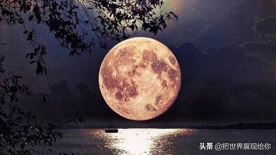 吸血蜈蚣的民间故事,蜈蚣与蝎子民间故事