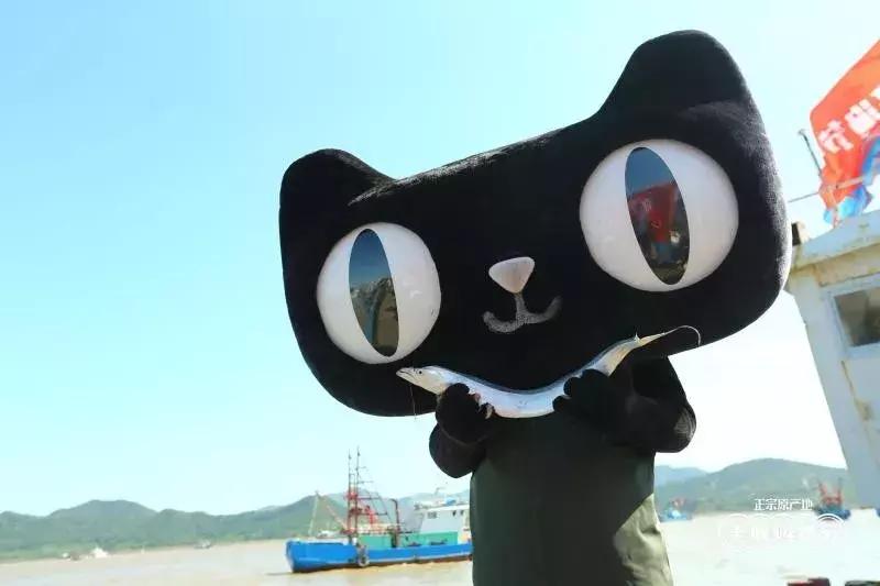 开渔节节目,开渔节2020年节目