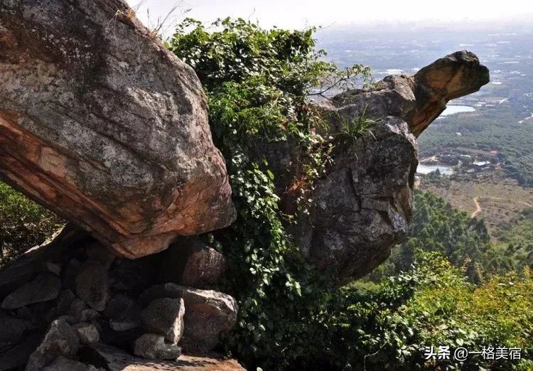 厦门五日游必去十大景点有哪些,厦门一日游必去的五个景点