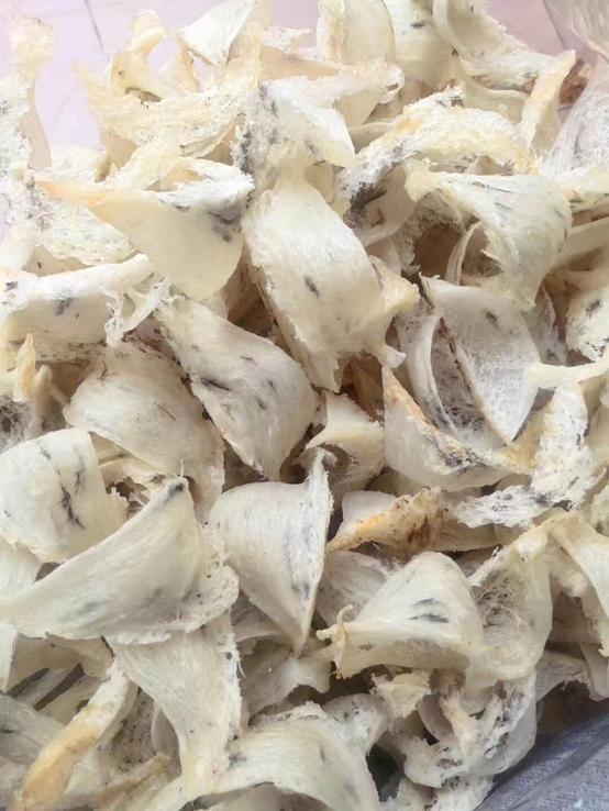 燕窝知识儿童篇,你不知道的营养知识