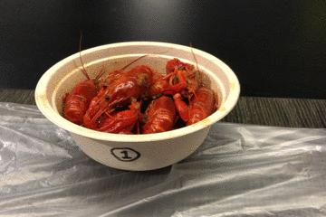 网红红黑榜,今年小龙虾排行榜