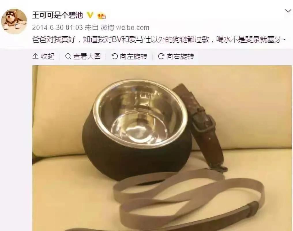 聚焦王思聪,再见了王思聪