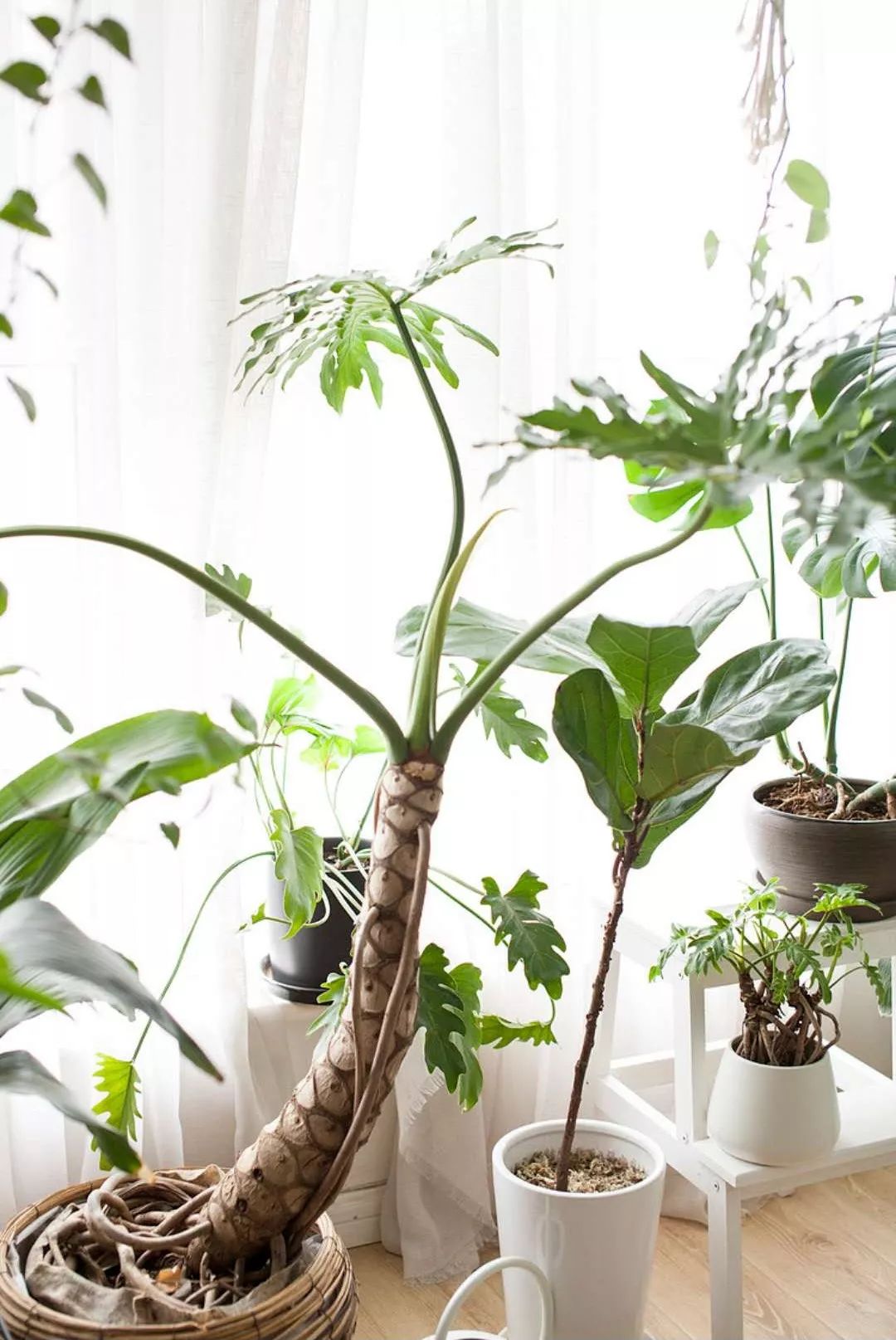 小夫妻98㎡家意外走红!登北京地铁广告,这个家才是都市里的奢侈