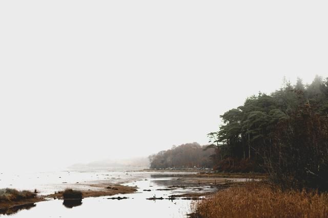 王安石写江南风景,王安石江上解读