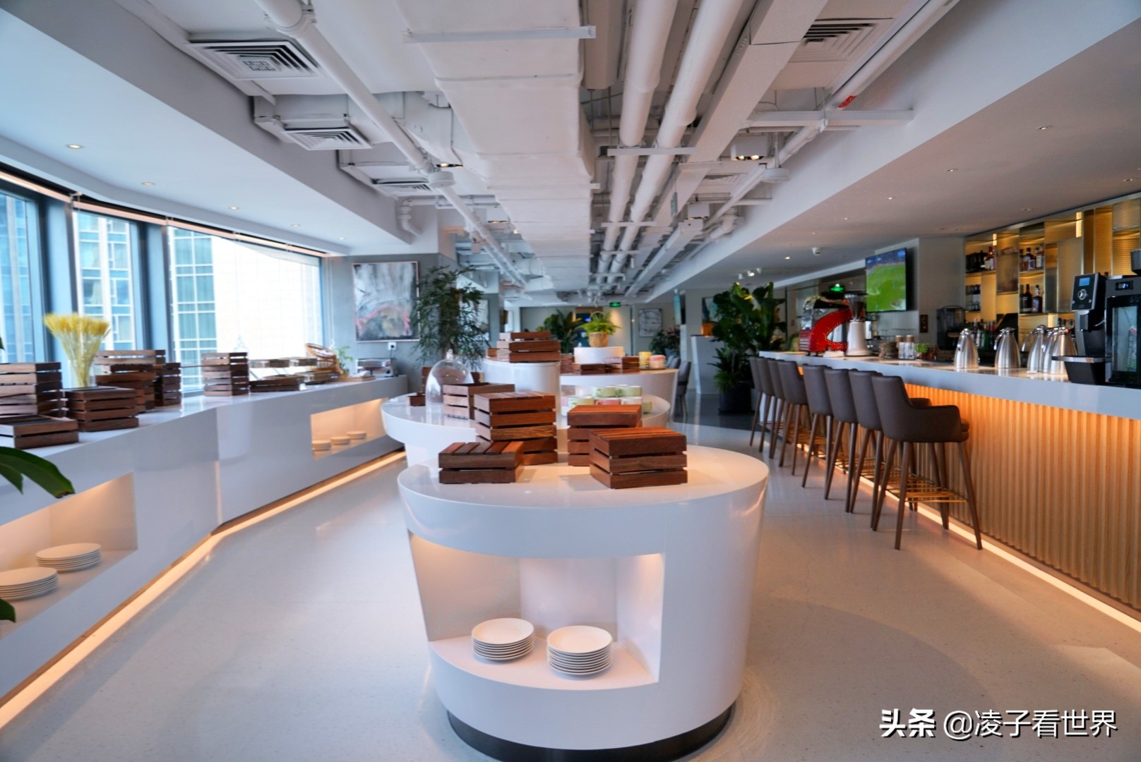 西单这家餐厅你不来就亏了，园庭这环境这菜品绝了