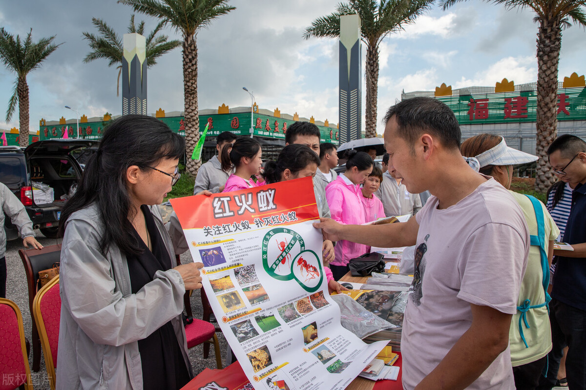 红火蚁入侵致多少人死,红火蚁伤人死亡新闻报道