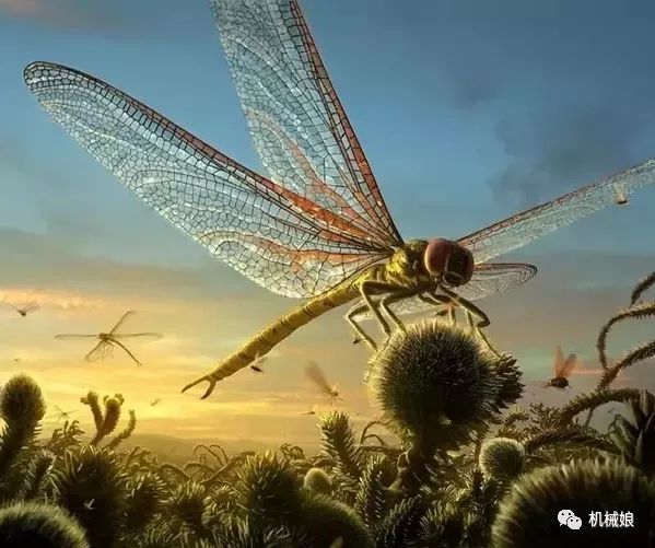 动物为什么不能无限长大,动物不能成精是怎么阻止的