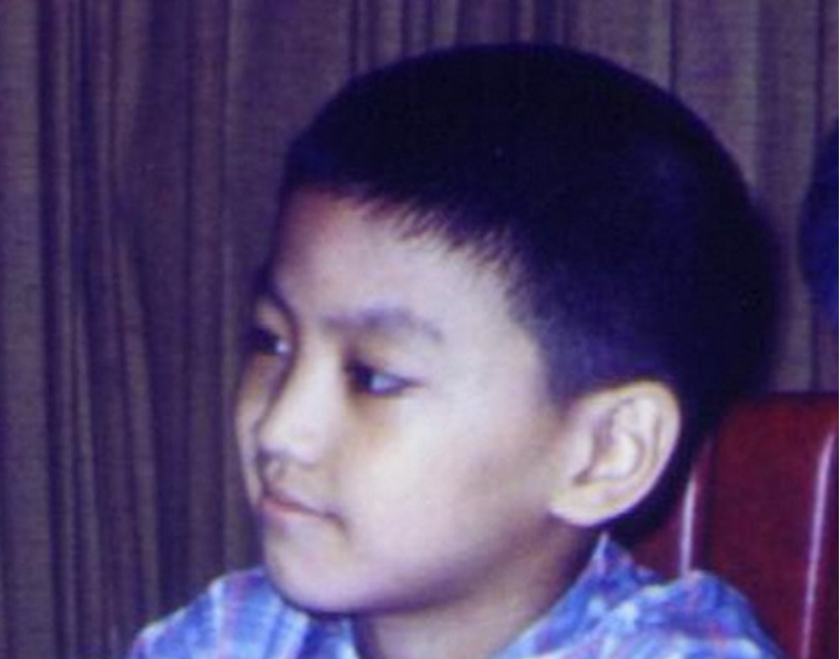 何家劲维他奶在线看,维他奶何家劲