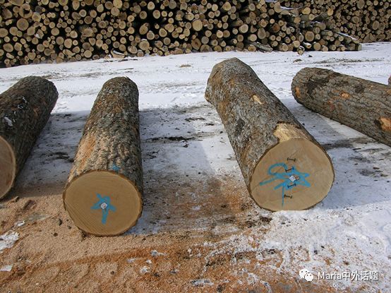 美国硬木干货价格,北美硬木排行