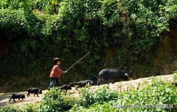 伟大母爱让人泪奔,母爱是伟大的可是现实是残酷的