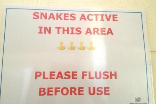 澳洲马桶出现蛇,澳大利亚遇到蛇要不要报警