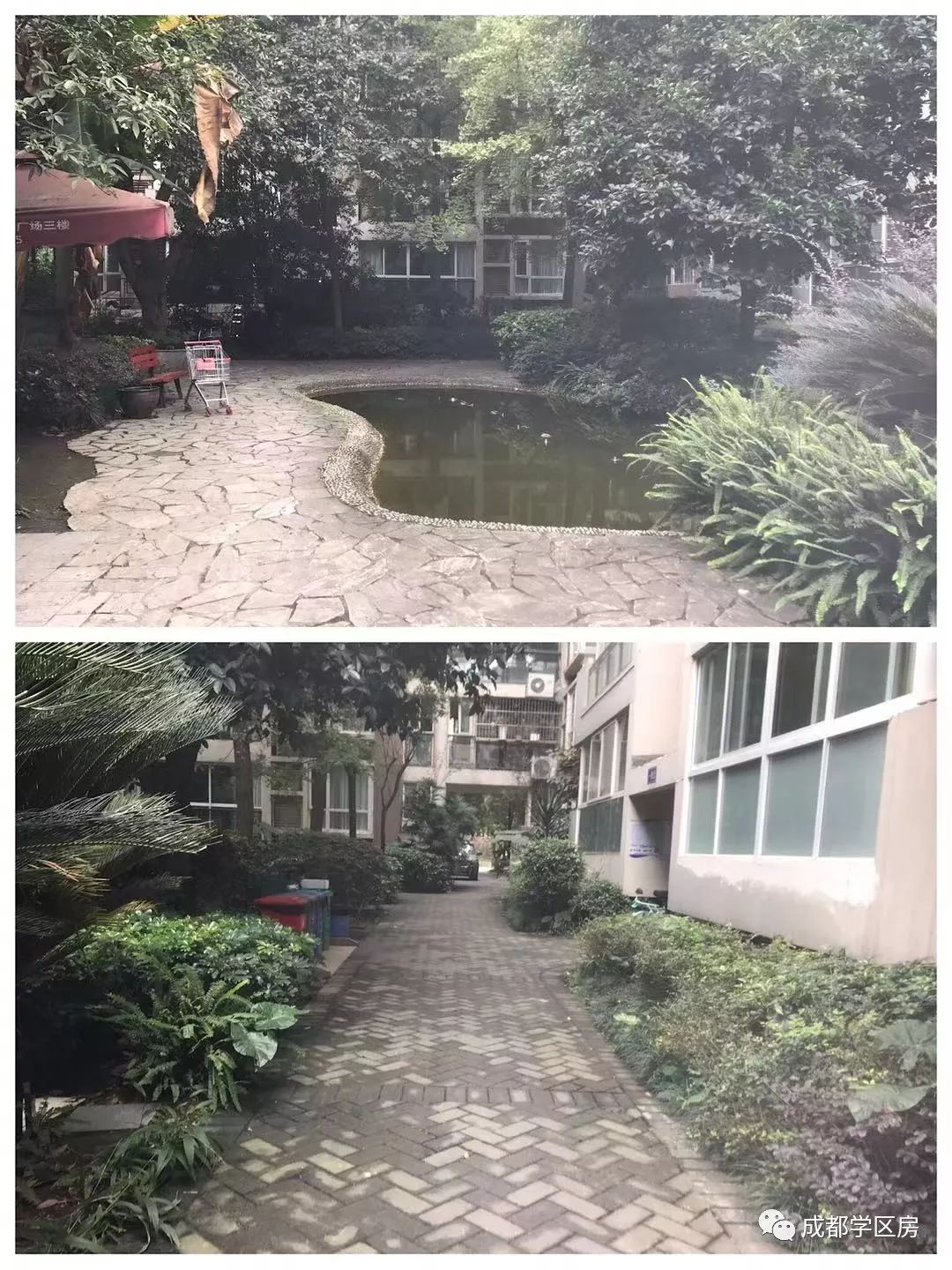 和泡小非常像的一个分校之最全盘点！​