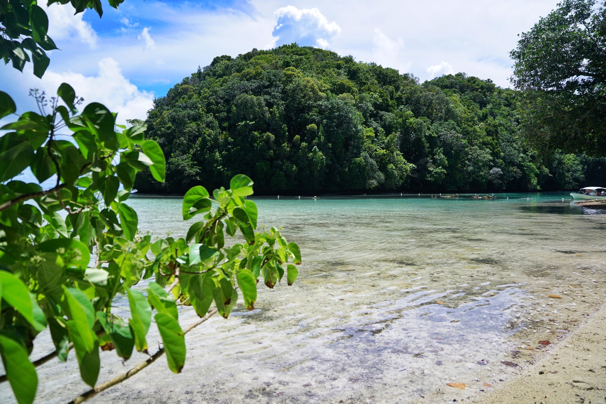 一定是特别的缘分——帕劳,再遇见「周若雪Patty」·上