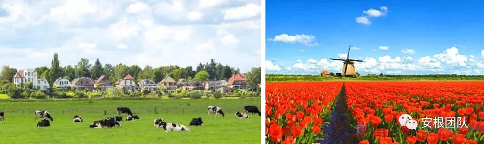 茶人学习:欧洲国家农民合作社融资实践