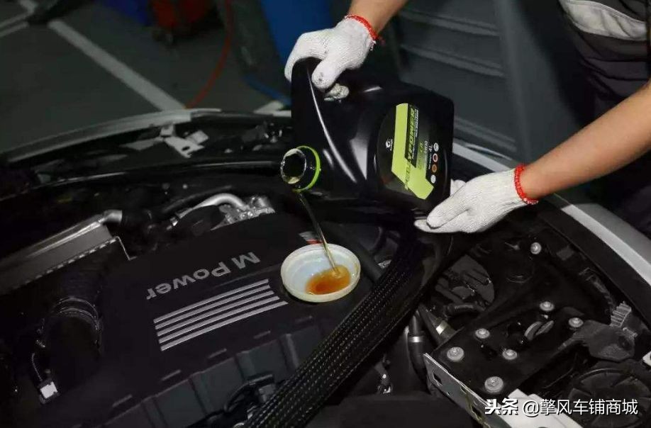 冬日猫咪保养指南,猫咪冬天开车需要检查什么