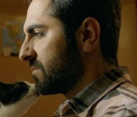 调音师剧情反转50次好难猜,如何评价调音师结局