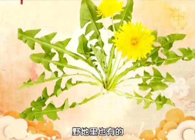 90岁女中医针灸,86岁女国医养生视频