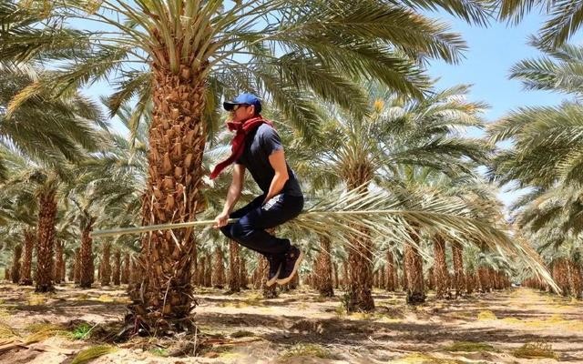 最强大脑王昱珩现在怎么样了,最强大脑王昱珩为什么那么有性格