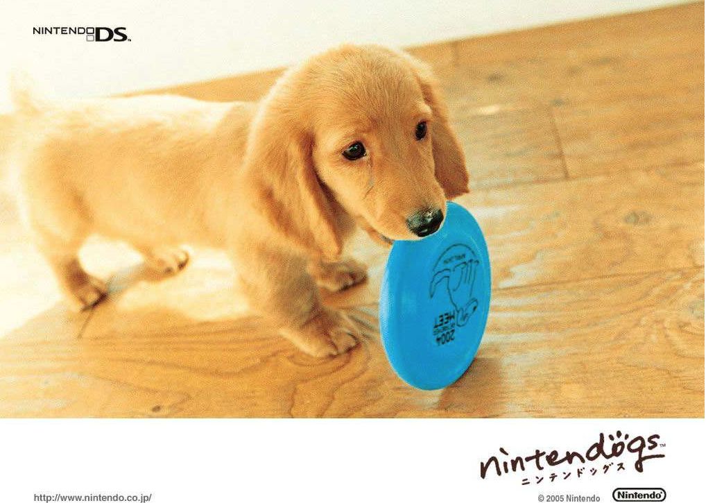 黄赌毒涉黑涉恶,涉黑涉恶涉毒涉赌