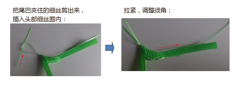 蚂蚱的编织过程图片,蚂蚱的制作方法