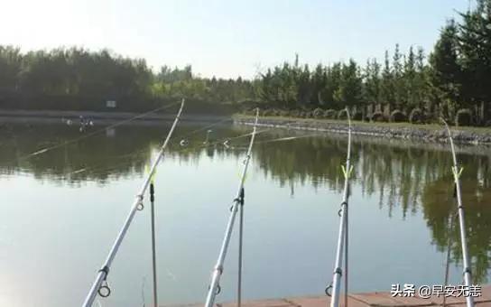 传统钓线组是用主线好还是子线好,钓鲤鱼线组主线4.0子线1.5