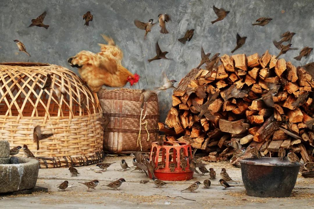 香港第14届全国摄影艺术展,第29届全国摄影艺术展览获奖名单