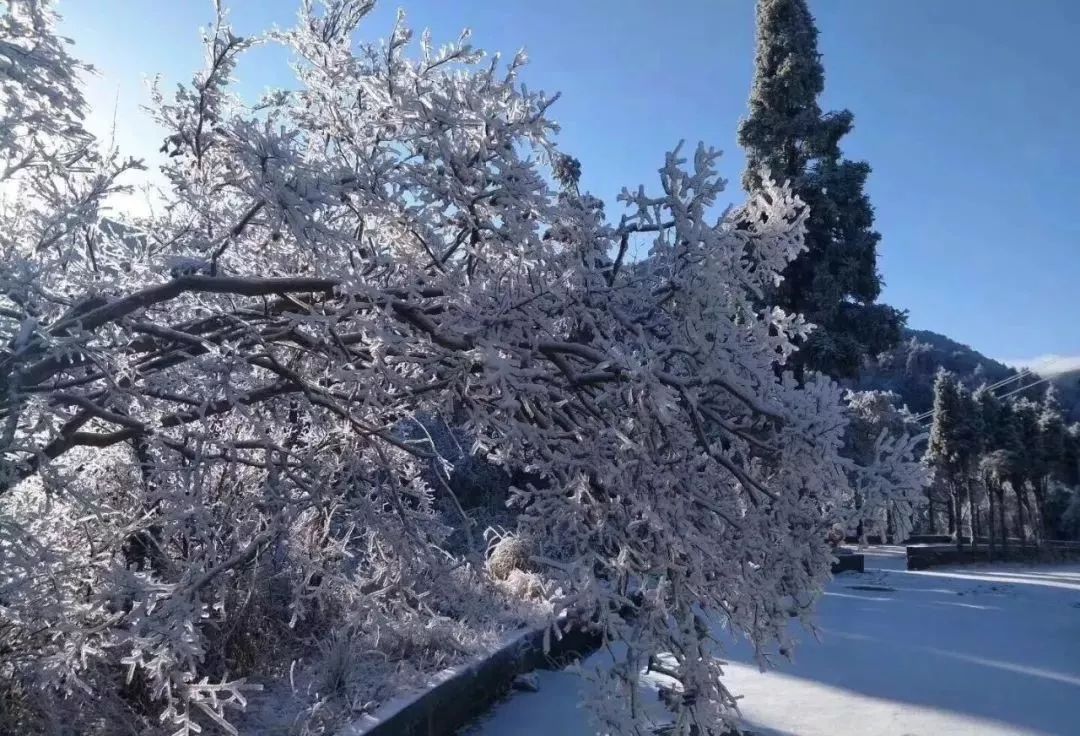 九宫山滑雪场自驾游攻略图,九宫山滑雪教学视频