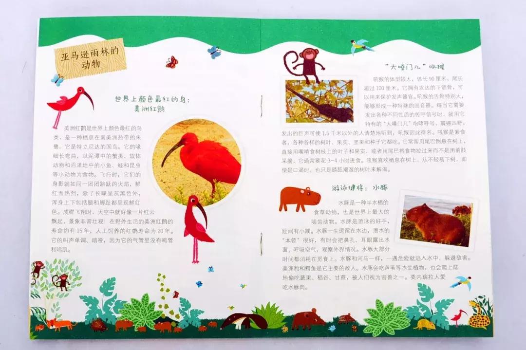 贴纸图册,场景贴纸图片大全