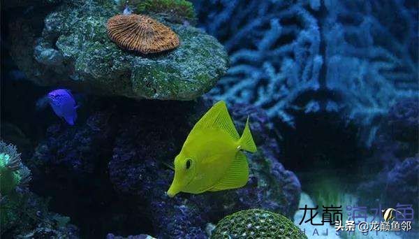 说出来都是泪！只有新下海的人才能体会这种痛，简直是全军覆灭