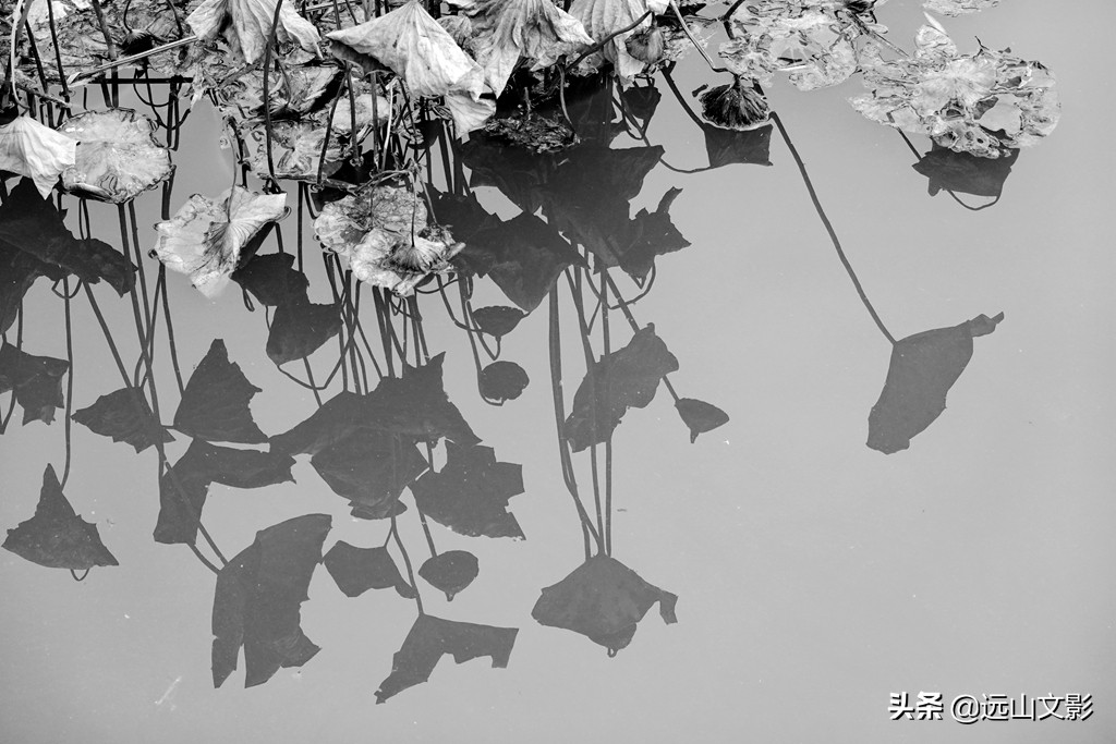 索尼黑卡二怎么拍,索尼黑卡2大光圈拍视频